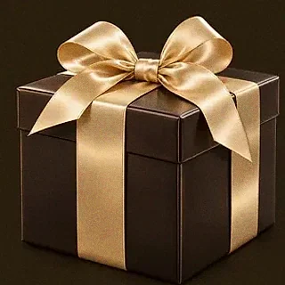 Wrapped gift box — Ruby Reels