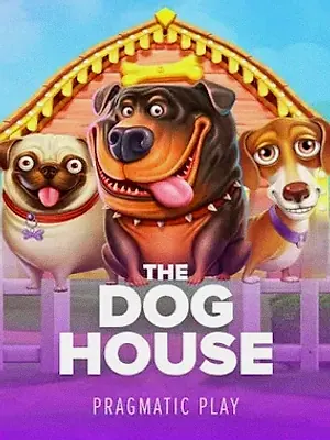 The Dog House at Ruby Reels